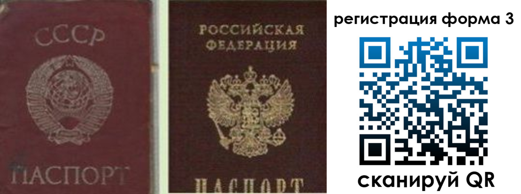 прописка для школы в Северске